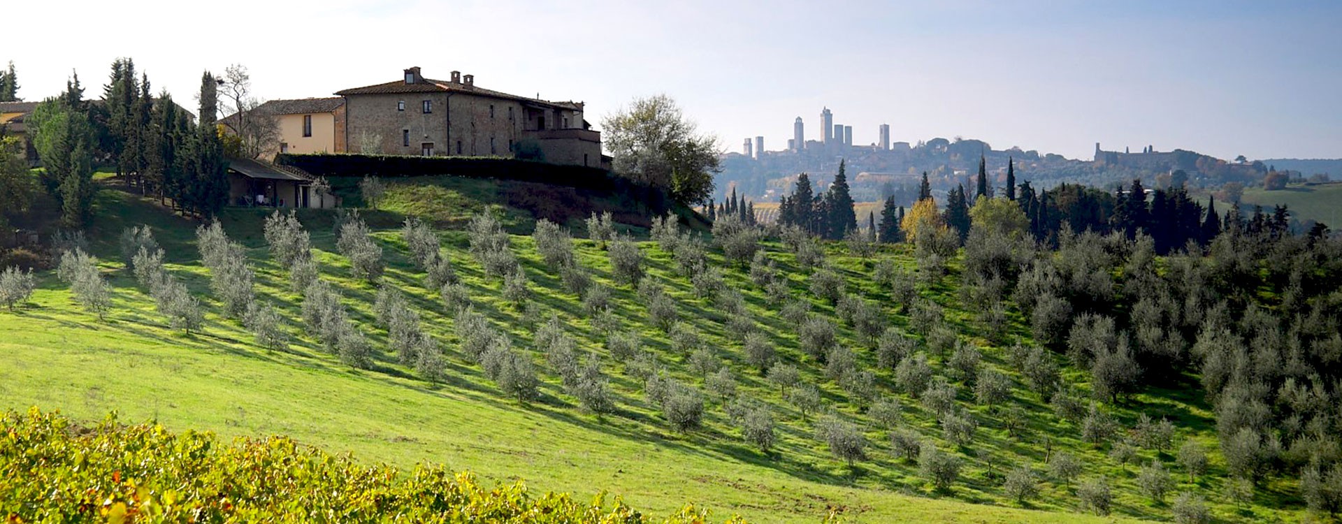 Montegonfoli Farm surrounded by nature