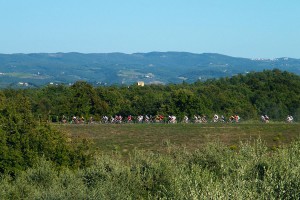 servizi-noleggio-bici